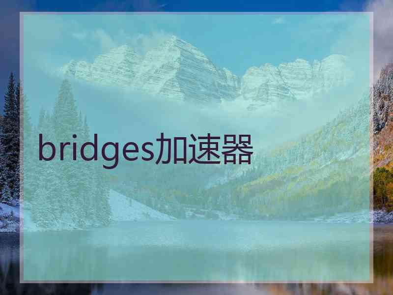 bridges加速器