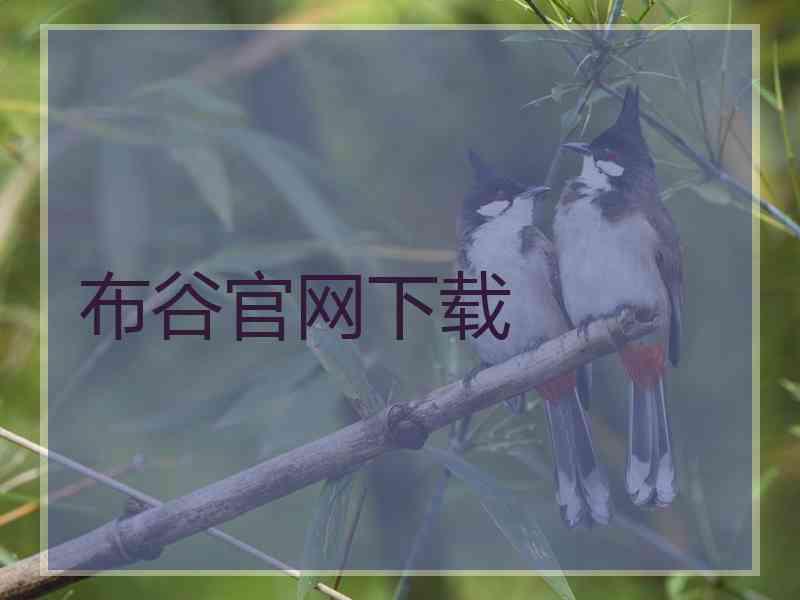 布谷官网下载