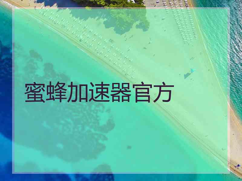 蜜蜂加速器官方