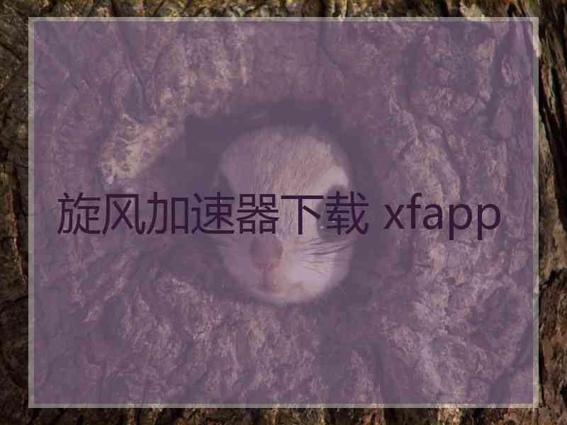 旋风加速器下载 xfapp