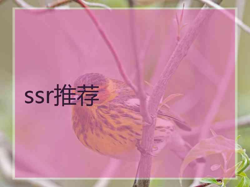 ssr推荐