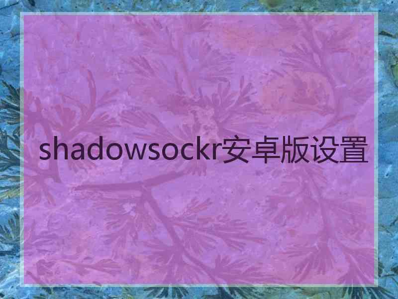 shadowsockr安卓版设置