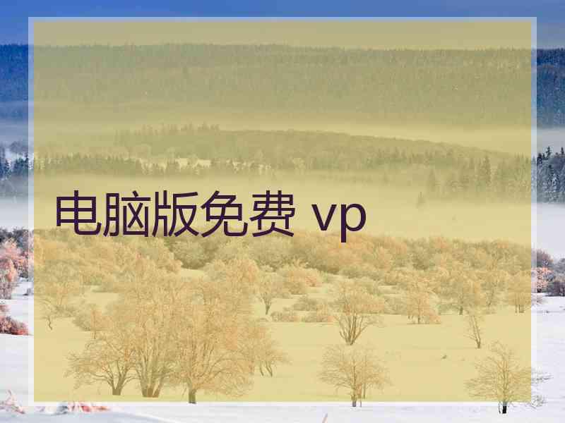 电脑版免费 vp