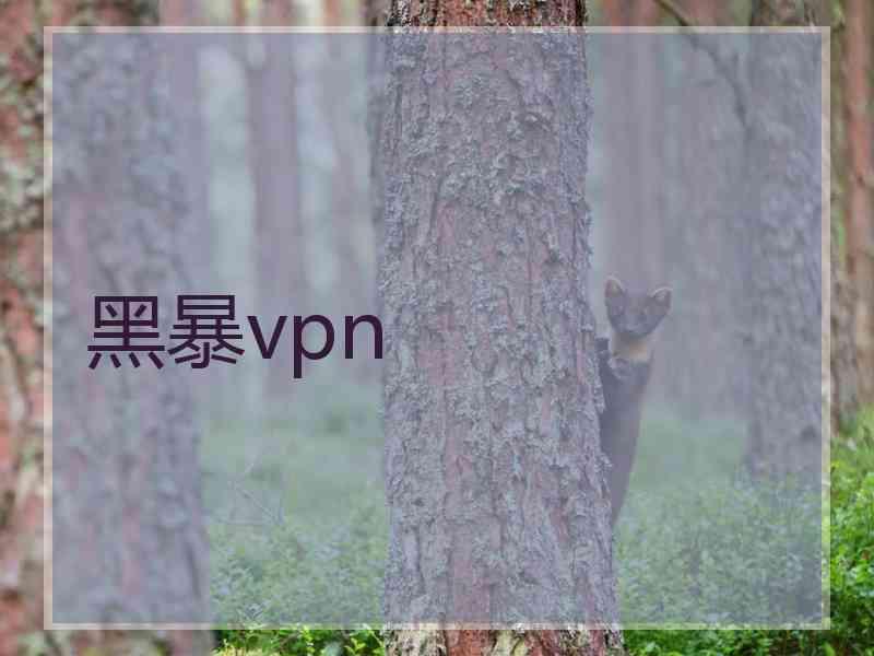 黑暴vpn