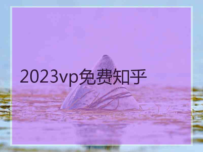 2023vp免费知乎