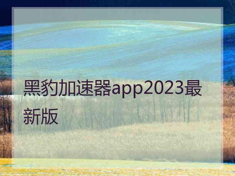 黑豹加速器app2023最新版