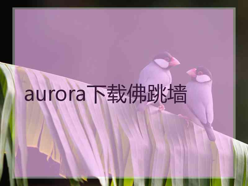 aurora下载佛跳墙