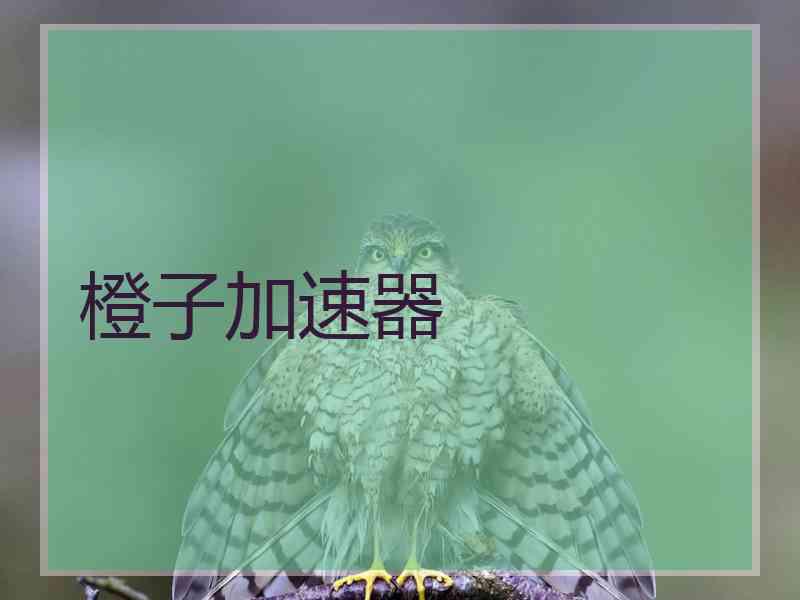 橙子加速器