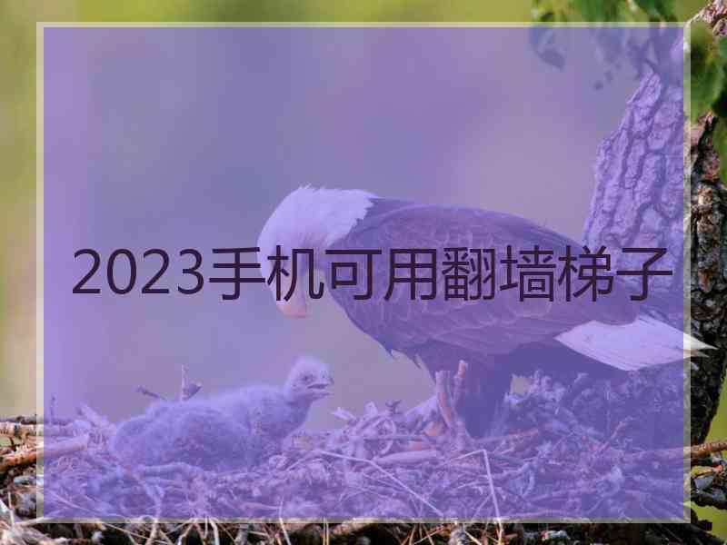 2023手机可用翻墙梯子