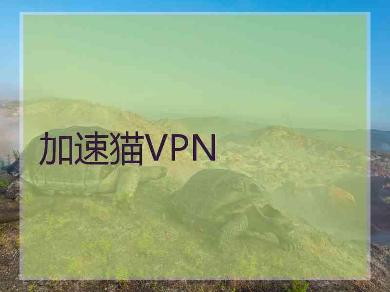 加速猫VPN