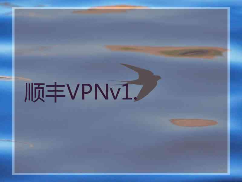 顺丰VPNv1.