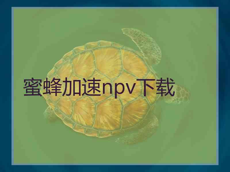 蜜蜂加速npv下载