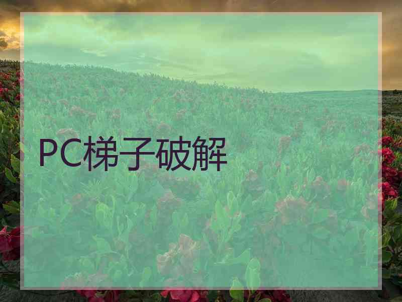 PC梯子破解