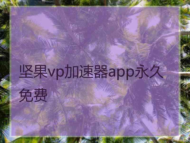 坚果vp加速器app永久免费