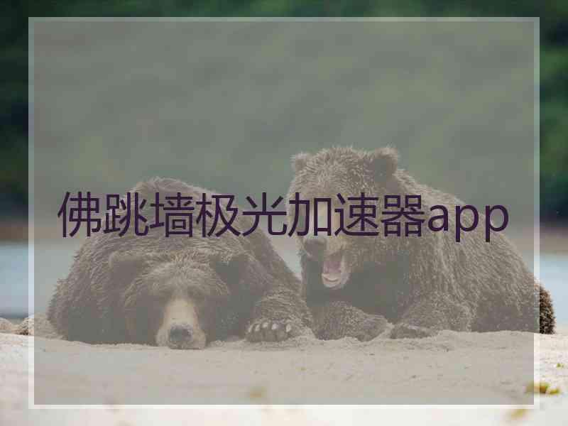 佛跳墙极光加速器app