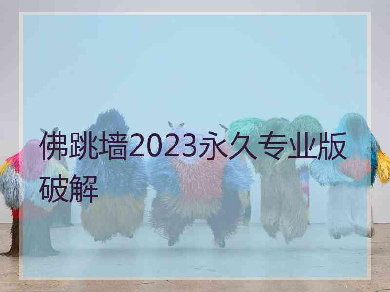 佛跳墙2023永久专业版破解