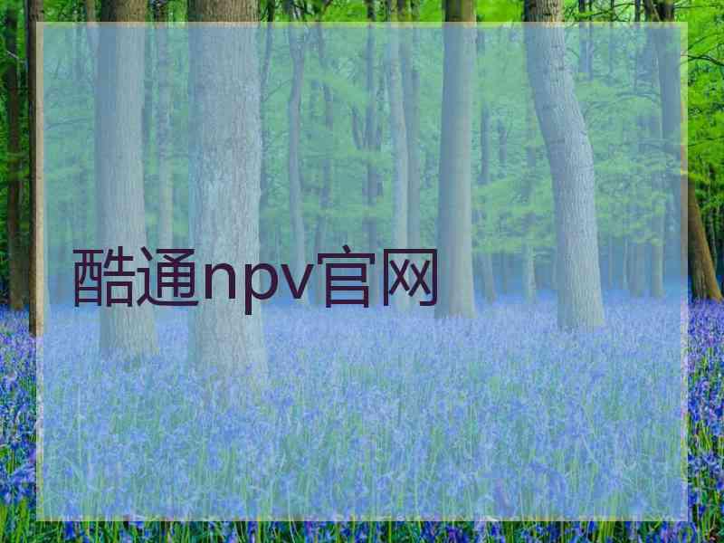 酷通npv官网