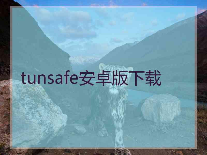 tunsafe安卓版下载