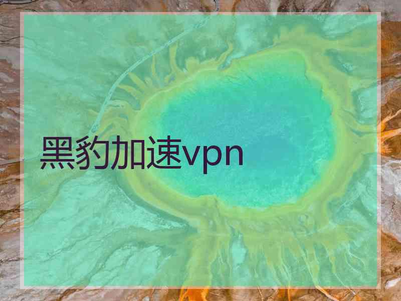 黑豹加速vpn