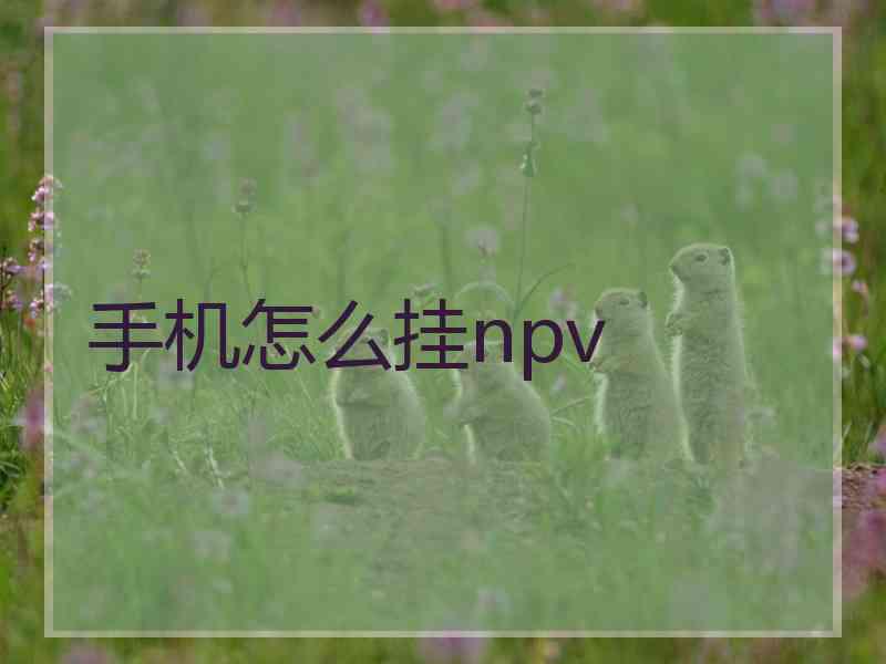 手机怎么挂npv