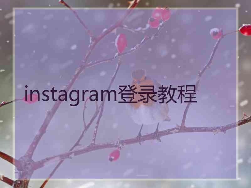 instagram登录教程