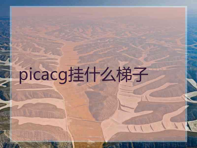 picacg挂什么梯子