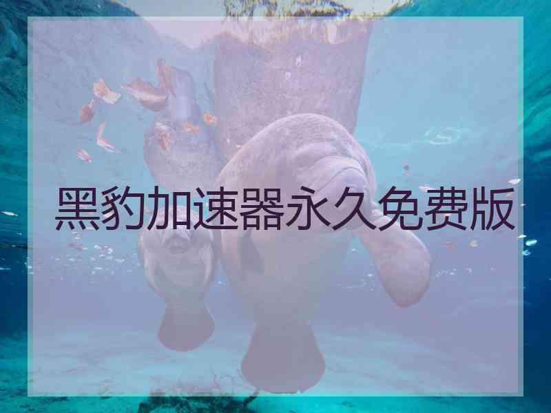 黑豹加速器永久免费版