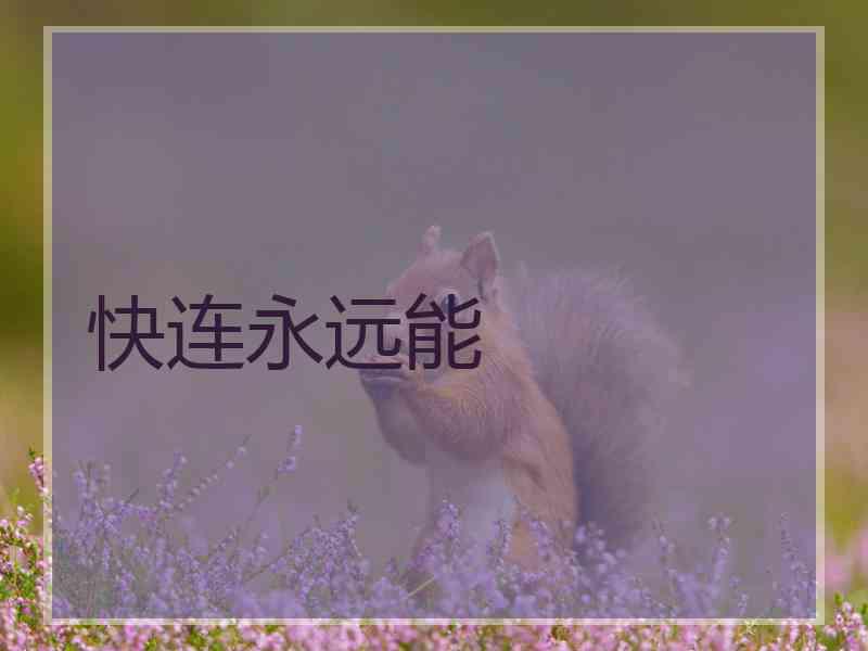 快连永远能