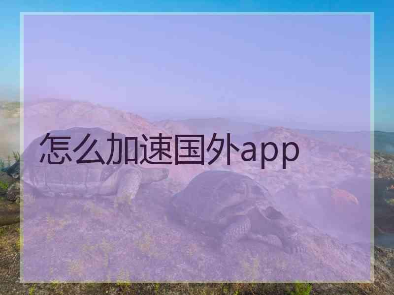 怎么加速国外app