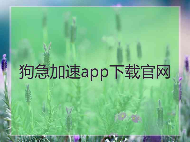 狗急加速app下载官网