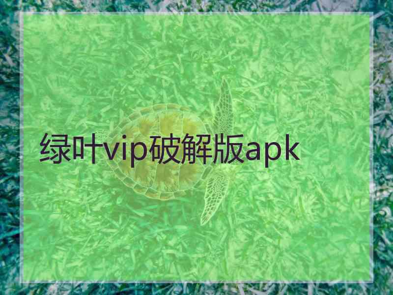 绿叶vip破解版apk