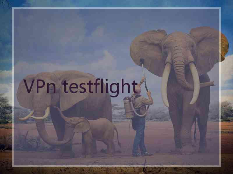 VPn testflight