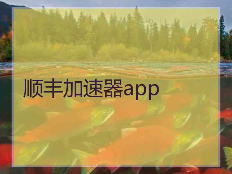 顺丰加速器app