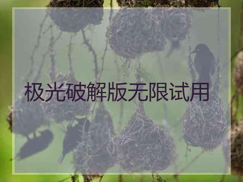 极光破解版无限试用