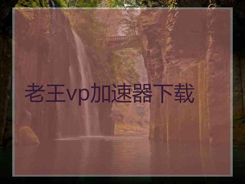 老王vp加速器下载