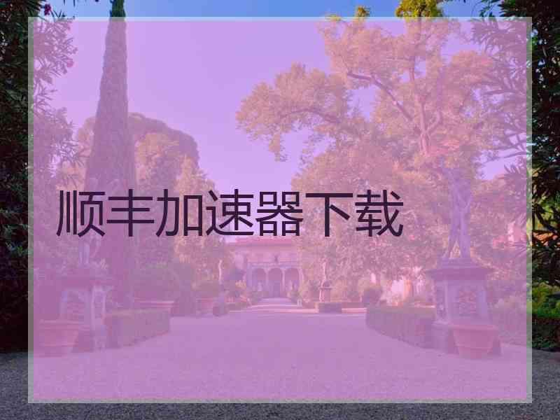 顺丰加速器下载