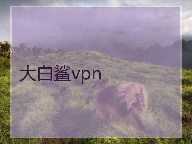 大白鲨vpn