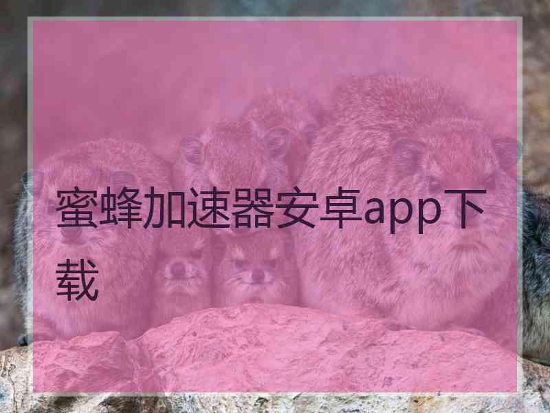 蜜蜂加速器安卓app下载