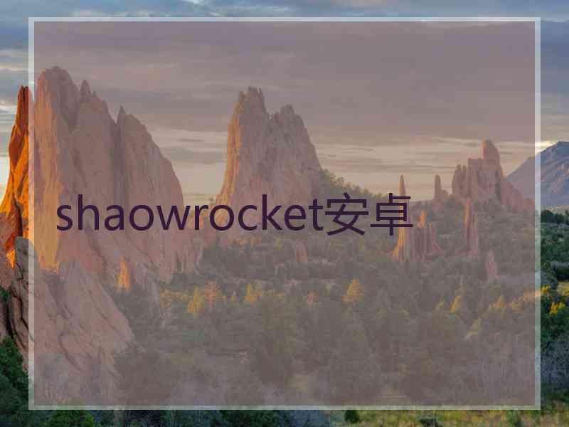 shaowrocket安卓