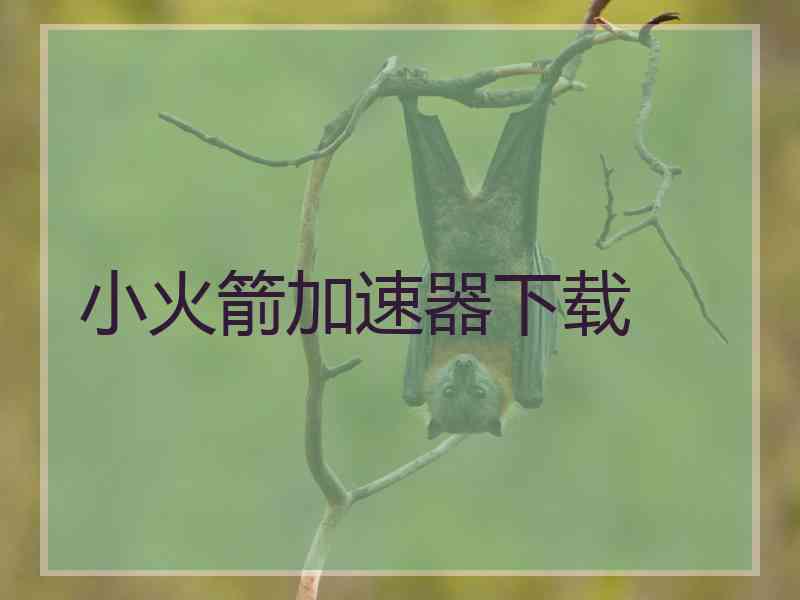 小火箭加速器下载