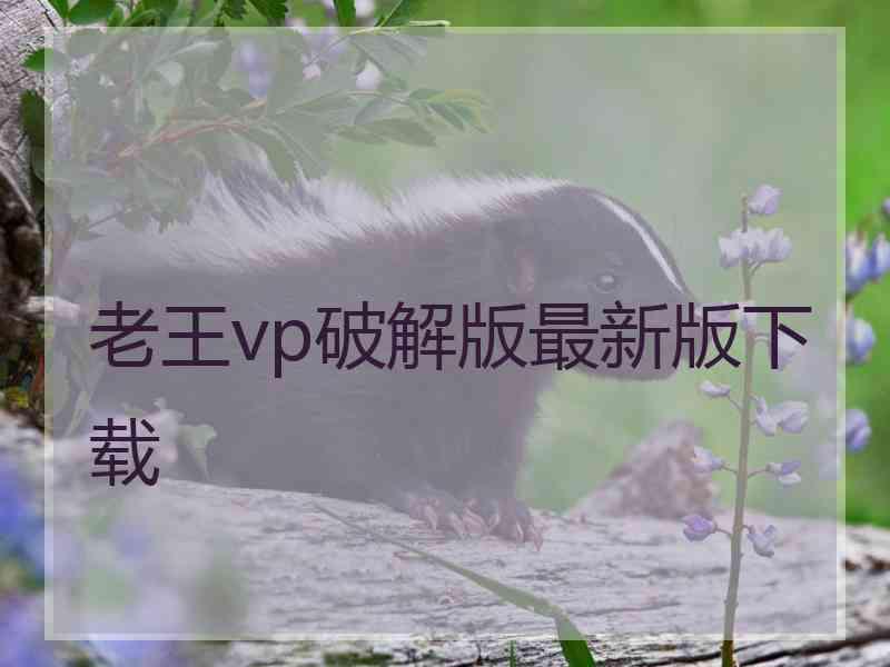 老王vp破解版最新版下载