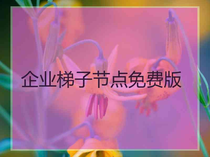 企业梯子节点免费版