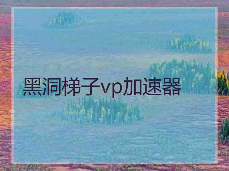 黑洞梯子vp加速器