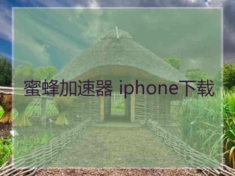 蜜蜂加速器 iphone下载