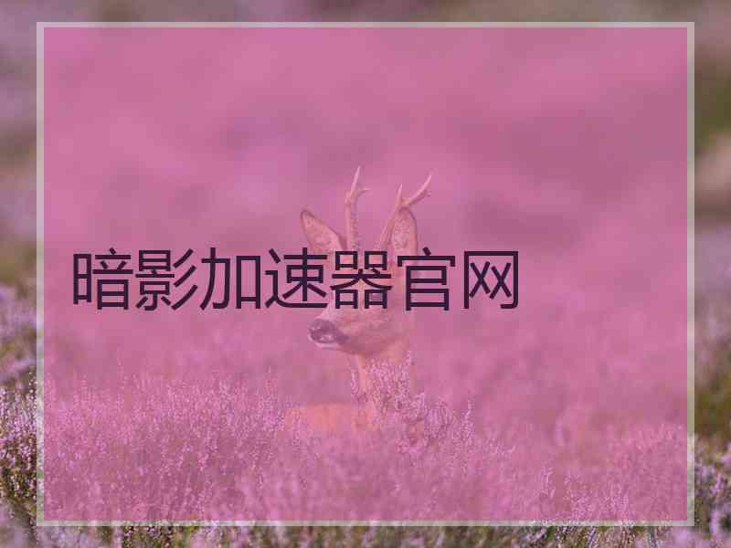 暗影加速器官网