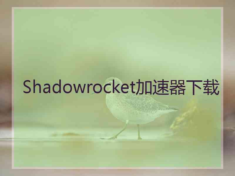 Shadowrocket加速器下载