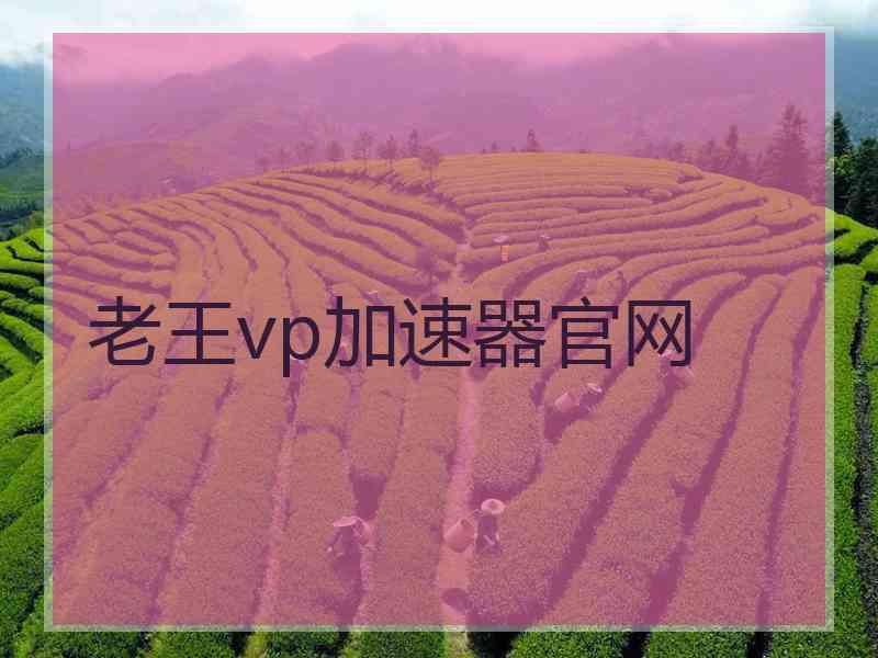 老王vp加速器官网