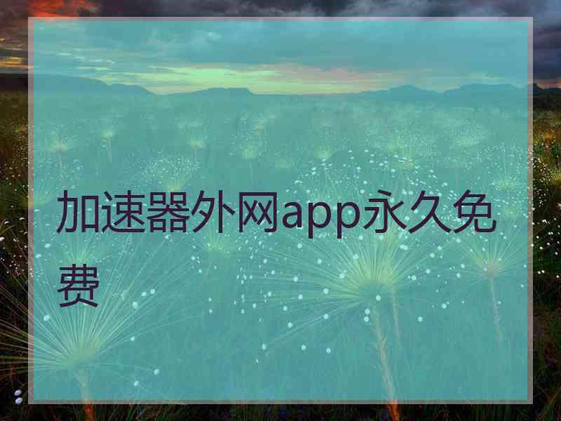 加速器外网app永久免费