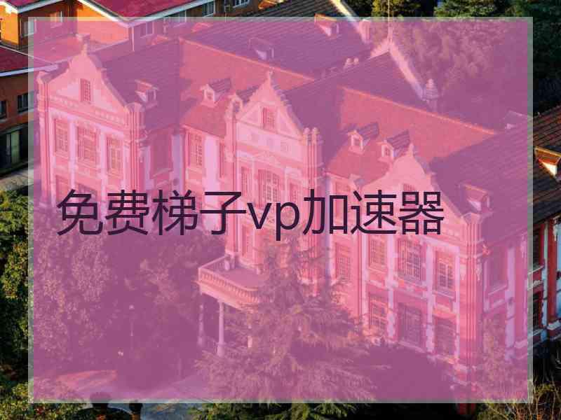 免费梯子vp加速器