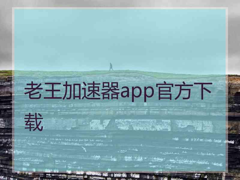 老王加速器app官方下载